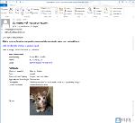 Lost and Found - Email Confirmation sent after submitting/editing pet report